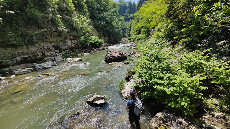 Wild Trentino 2025 2